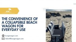 The Convenience of a Collapsible Beach Wagon for Everyday Use