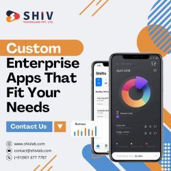 Get Enterprise Application Development Services by Shiv Technolabs