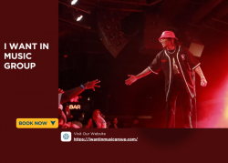 I WANT IN MUSIC GROUP – Professional Music Consultants & Artist Promotion