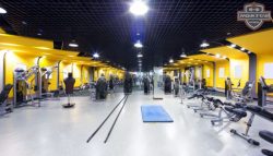 Top rated full gym setup services in India