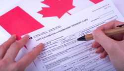 Reliable Canada from Qatar migration services