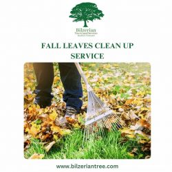 Fall Leaves Clean Up Service