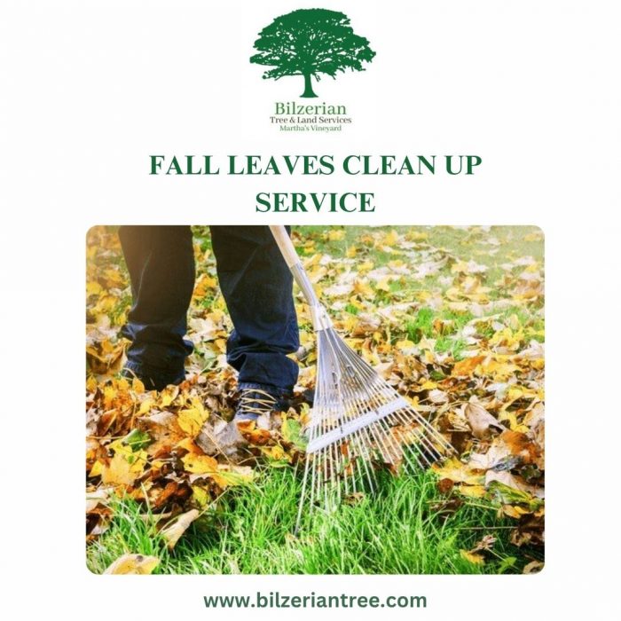 Fall Leaves Clean Up Service