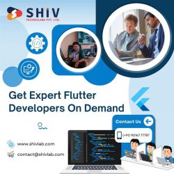 Hire Top Flutter Developers at Shiv Technolabs