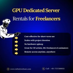 The Rise of GPU Dedicated Server Rentals for Freelancers