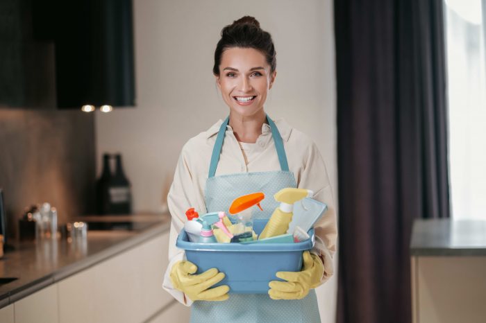 Get Home Help Fast with Chandigarh Maid Service