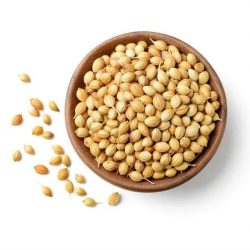 Coriander Seeds/Powder Manufacturers, Suppliers, Exporters India