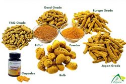 Turmeric Fingers Manufacturers, Exporters, Suppliers India