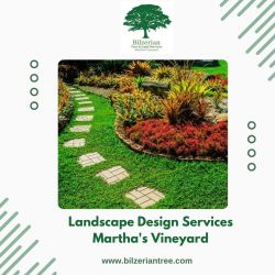 Landscape Design Services Martha’s Vineyard