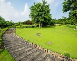 Landscaping Services Sydney: Turf Installation Expertise