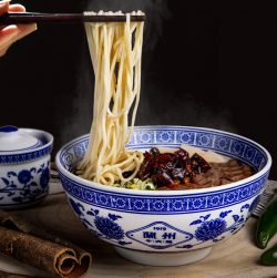 Savor the Flavour of Authentic Beef Noodles
