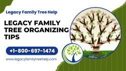 Legacy Family Tree Organizing Tips for Genealogy Software