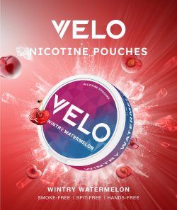 Zyn Nicotine Pouches