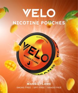 Zyn nicotine pouches online