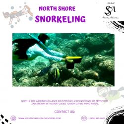 North Shore Snorkeling