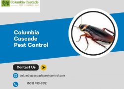 Effective Cockroach Extermination in Columbia