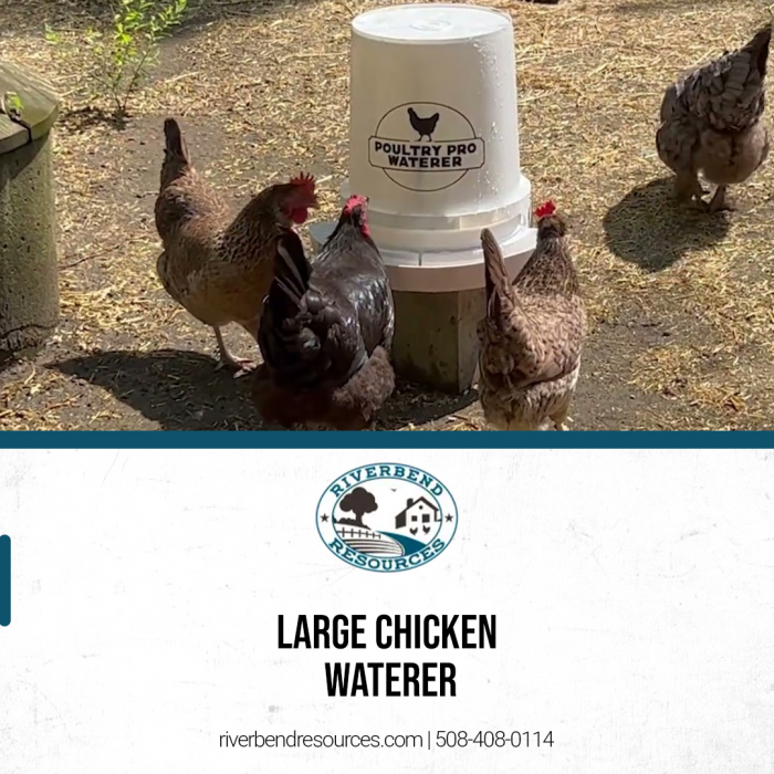 LARGE CHICKEN WATERER