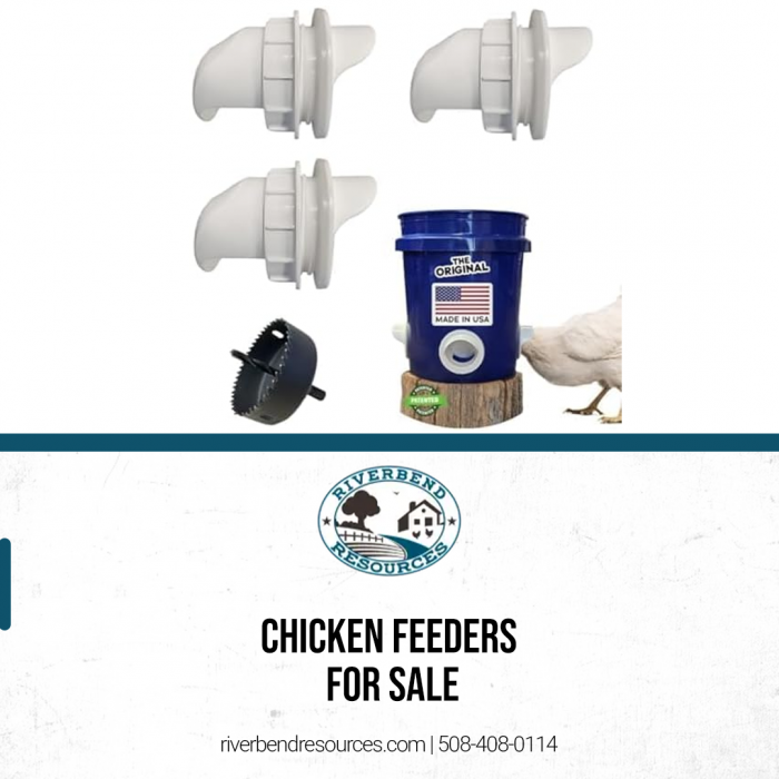 CHICKEN FEEDERS FOR SALE