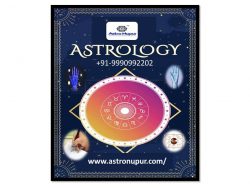Online astrologer consultation
