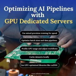 Optimizing AI Pipelines with GPU Dedicated Servers