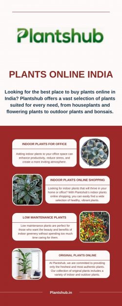 Indoor Plants for Office – Boost Your Workspace with Greenery