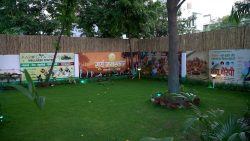 Best Ayurvedic Care in Noida – Aarogya India Wellness Centre