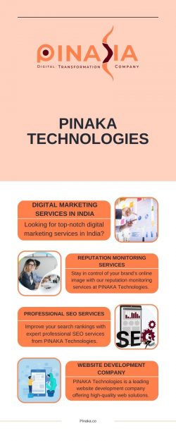 Top-Notch Professional SEO Services