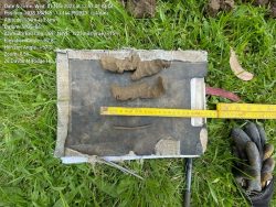 Reliable Septic Land Capability Assessments for Smart Property Planning