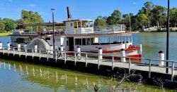 Rediscover the Magic of the Murray: A Cruise Experience with Paddle Steamer Melbourne