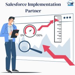 Salesforce Implementation Partner: Aligning Platform Capabilities with Business Goals