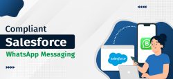 Step-by-Step Guide to WhatsApp + Salesforce by 360 SMS