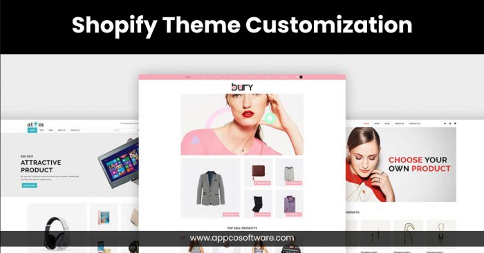 Affordable Shopify Theme Customization Services for Your Store