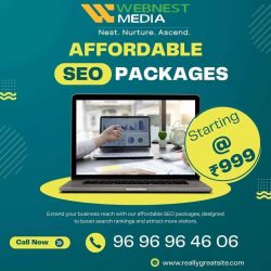 Top SEO Company in Gurgaon | WebNest Media Experts