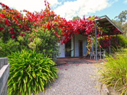 Effortless Hosting Starts Here: Property Management in Yarra Valley and Dandenong Ranges