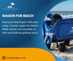 Wagon for Beach Days Made Easy and Effortless