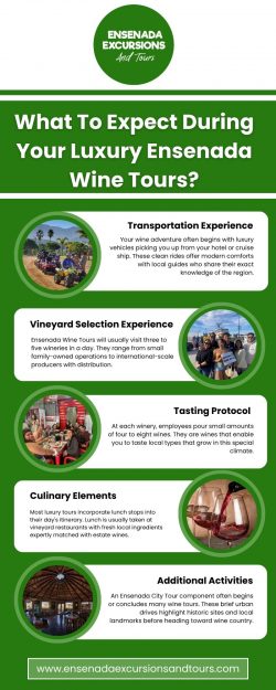 What To Expect During Your Luxury Ensenada Wine Tours