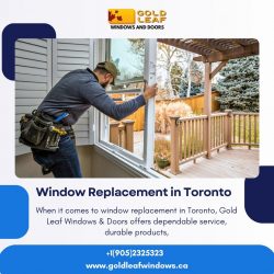 Window Replacement in Toronto