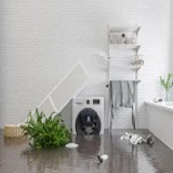 The Complete Guide to Flood Restoration Services