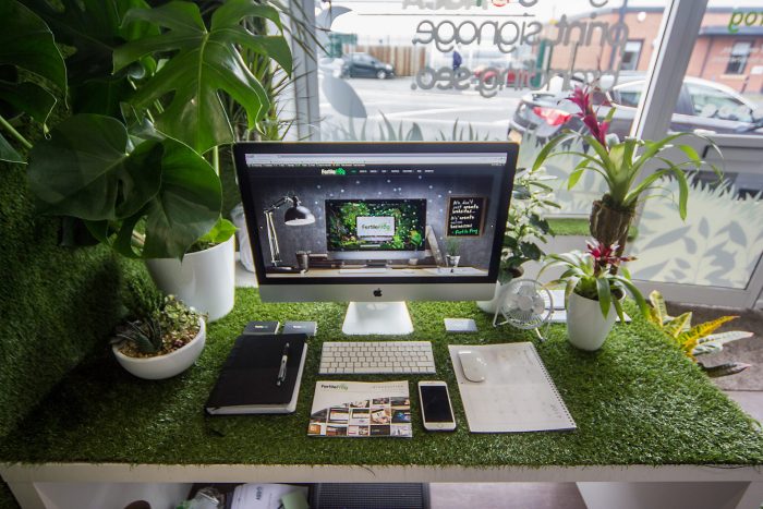 Achieve Online Success with Professional SEO Services in Bamber Bridge