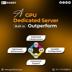 A GPU Dedicated Server: Built to Outperform