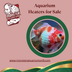 Aquarium Heaters for Sale