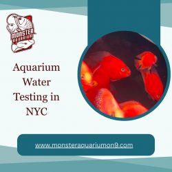 Aquarium Water Testing in NYC