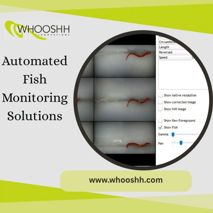Automated Fish Monitoring Solutions