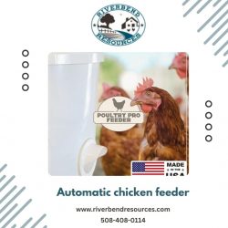 Automatic chicken feeder