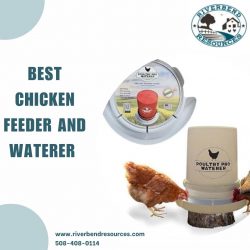 Best chicken feeder and waterer