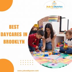 Best Daycares In Brooklyn