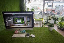Boost Your Online Visibility with Local SEO Experts in Southport