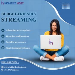 Budget-Friendly Streaming