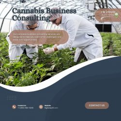 Cannabis Business Consulting