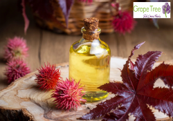 Castor Oil Benefits for Hair, Skin, and Health with Grape Tree
